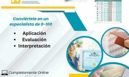 miniatura del curso